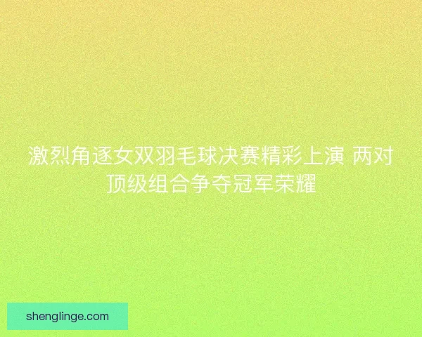 激烈角逐女双羽毛球决赛精彩上演 两对顶级组合争夺冠军荣耀