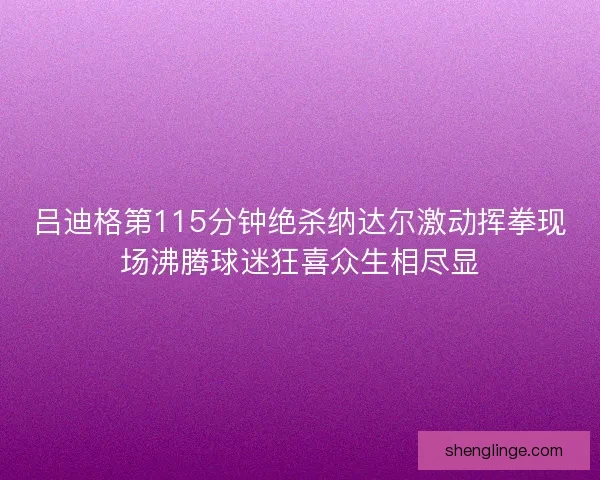 吕迪格第115分钟绝杀纳达尔激动挥拳现场沸腾球迷狂喜众生相尽显
