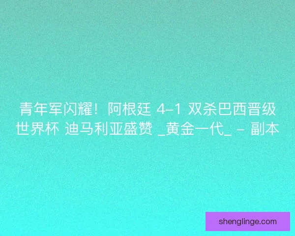 青年军闪耀！阿根廷 4-1 双杀巴西晋级世界杯 迪马利亚盛赞 _黄金一代_ - 副本