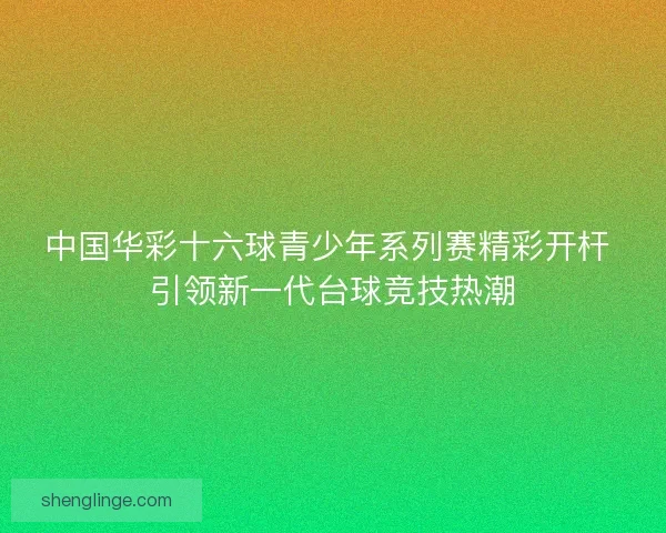 中国华彩十六球青少年系列赛精彩开杆 引领新一代台球竞技热潮