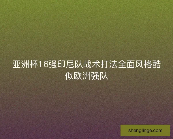 亚洲杯16强印尼队战术打法全面风格酷似欧洲强队